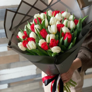 Premium Red and White Tulip Bouquet